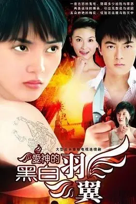 爱神的黑白羽翼 海报